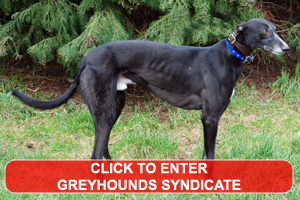 Click here to enter