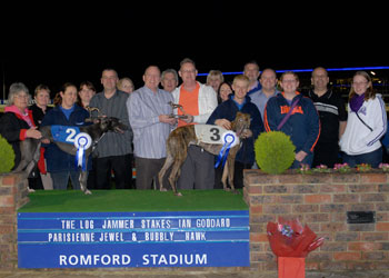 Bubbly Hawk