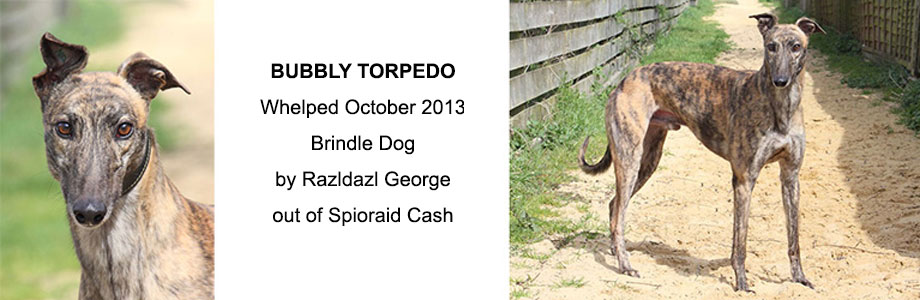 Bubbly Torpedo