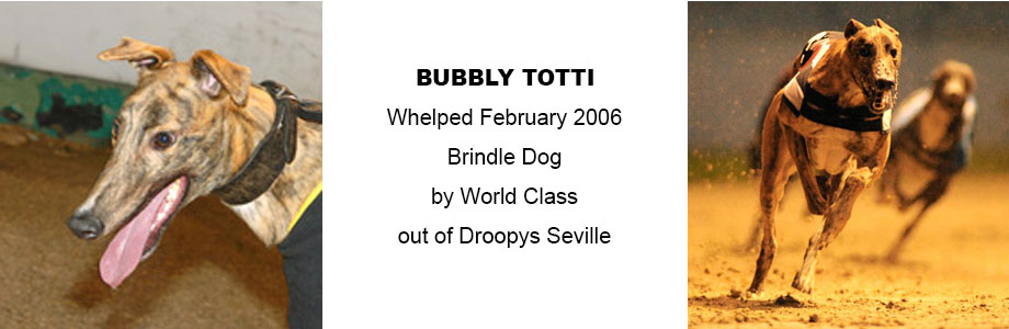 Bubbly Totti