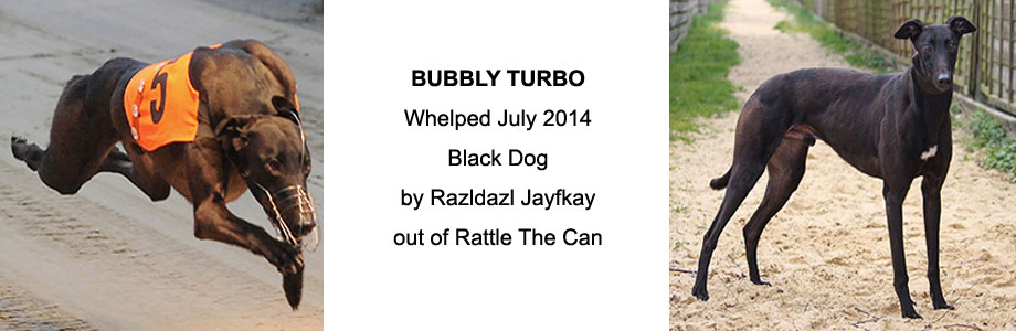 Bubbly Turbo